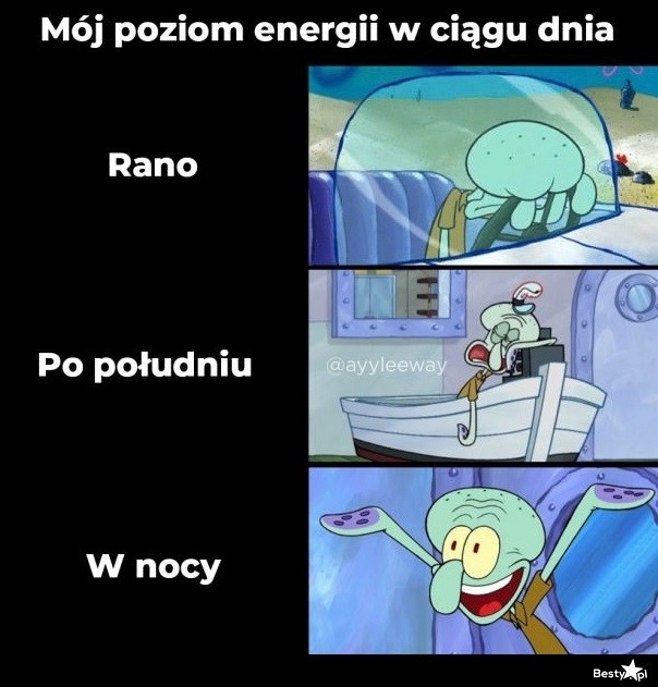 
    Poziom energii w ciągu dnia 