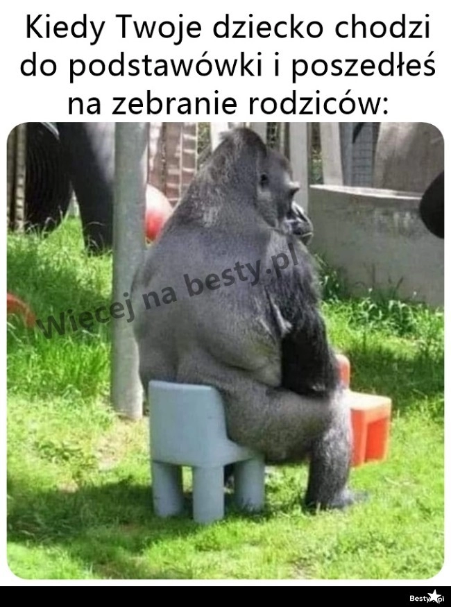 
    Trochę niewygodnie 