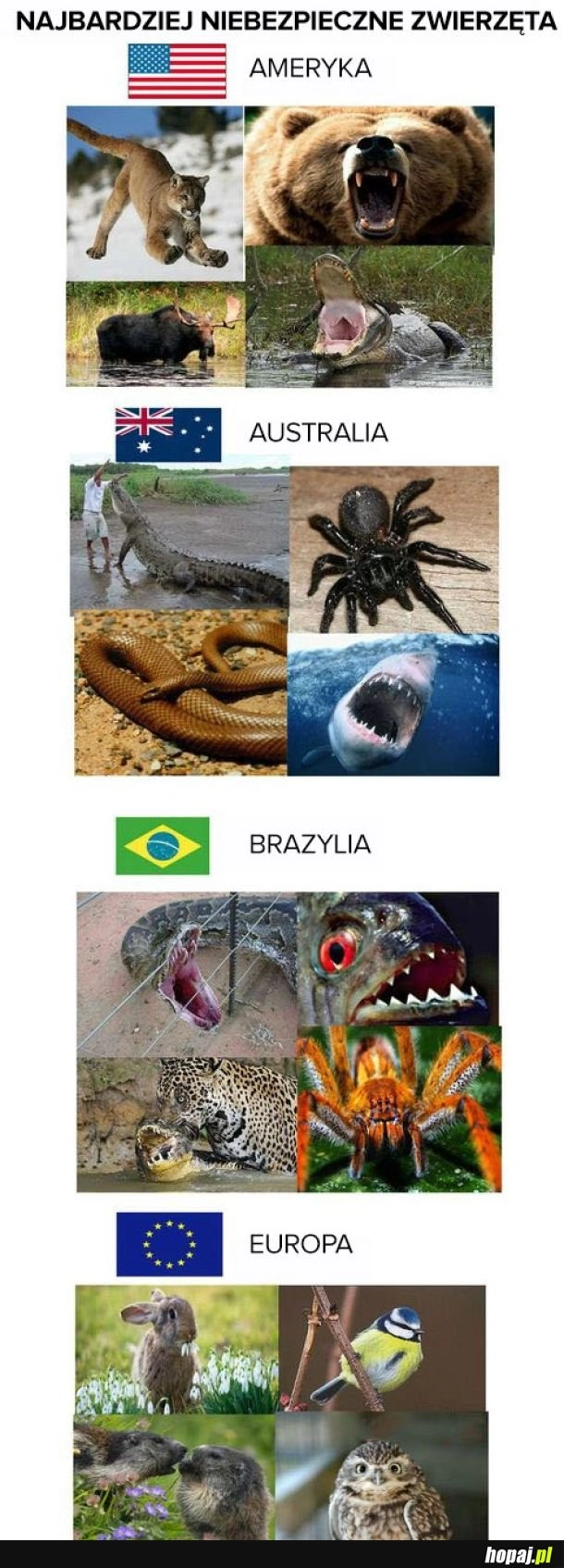 
    Najlepsze miejsce do życia