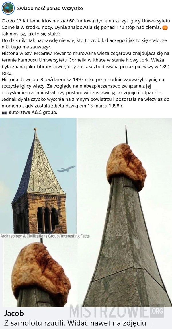 
    Dynia