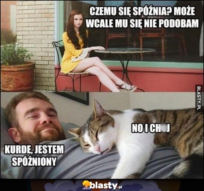 
    Laska: czemu się spóźnia? Może wcale mu się nie podobam? Facet: kurde, jestem spóźniony, leżący na nim kot: i kij z tym