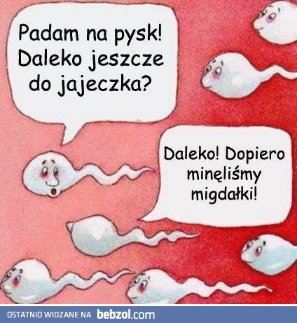 
    Padam na pysk