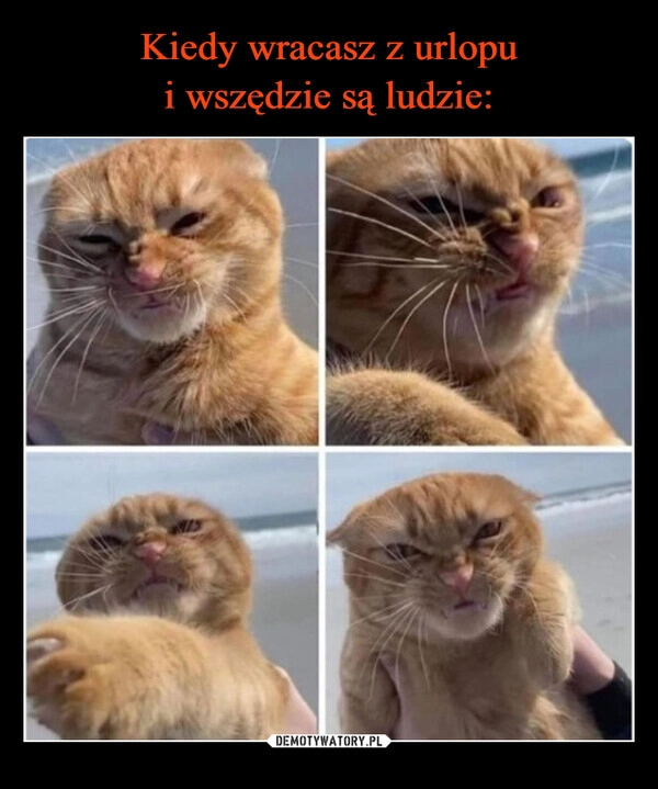 
    Kiedy wracasz z urlopu
i wszędzie są ludzie: