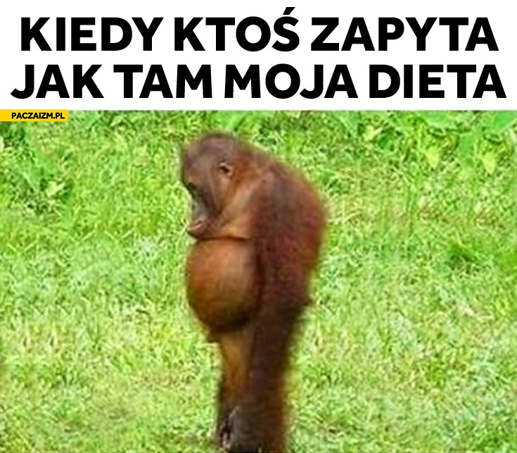 
    Kiedy ktoś zapyta jak tam moja dieta