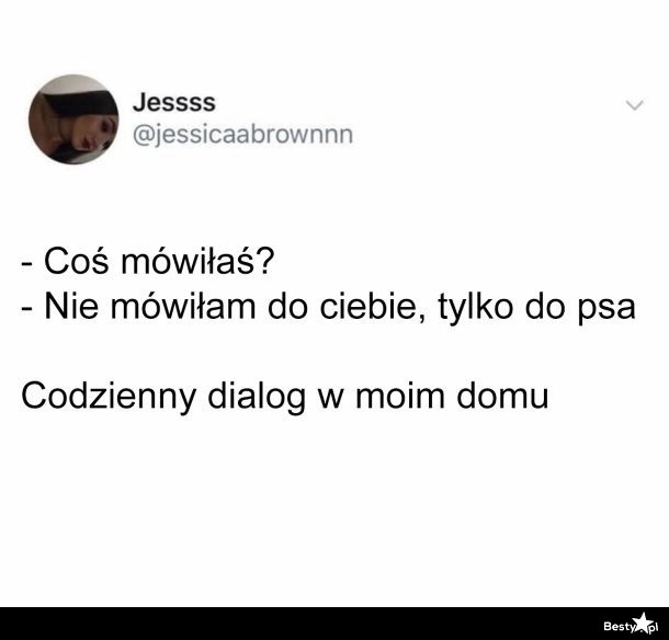 
    Kiedy w domu jest zwierzak 