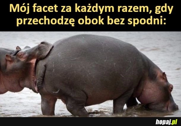 
    Mój facet za każdym razem, gdy przechodzę obok bez spodni