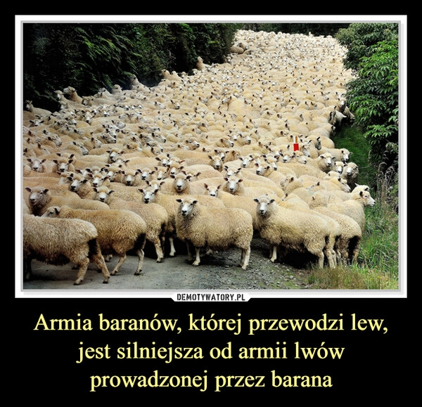 
    Armia baranów, której przewodzi lew, jest silniejsza od armii lwów prowadzonej przez barana