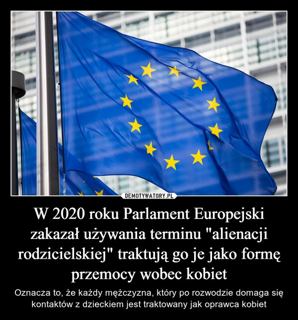 
    W 2020 roku Parlament Europejski zakazał używania terminu "alienacji rodzicielskiej" traktują go je jako formę przemocy wobec kobiet