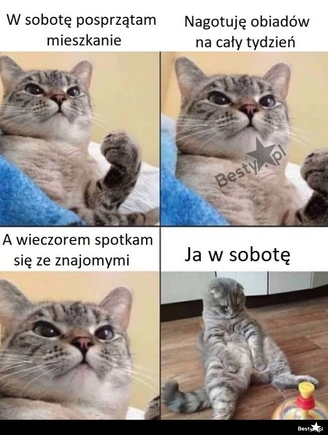 
    Plan na sobotę 