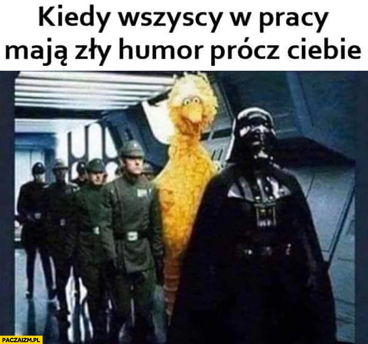 
    Kiedy wszyscy w pracy maja humor prócz Ciebie ptak ulica sezamkowa Vader