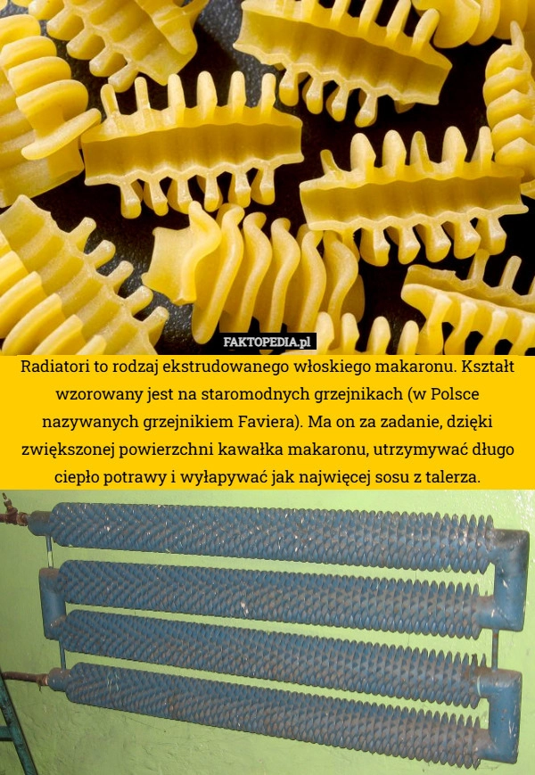 
    Radiatori to rodzaj ekstrudowanego włoskiego makaronu. Kształt wzorowany