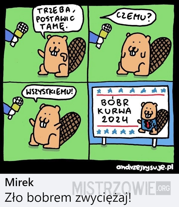 
    Bóbr