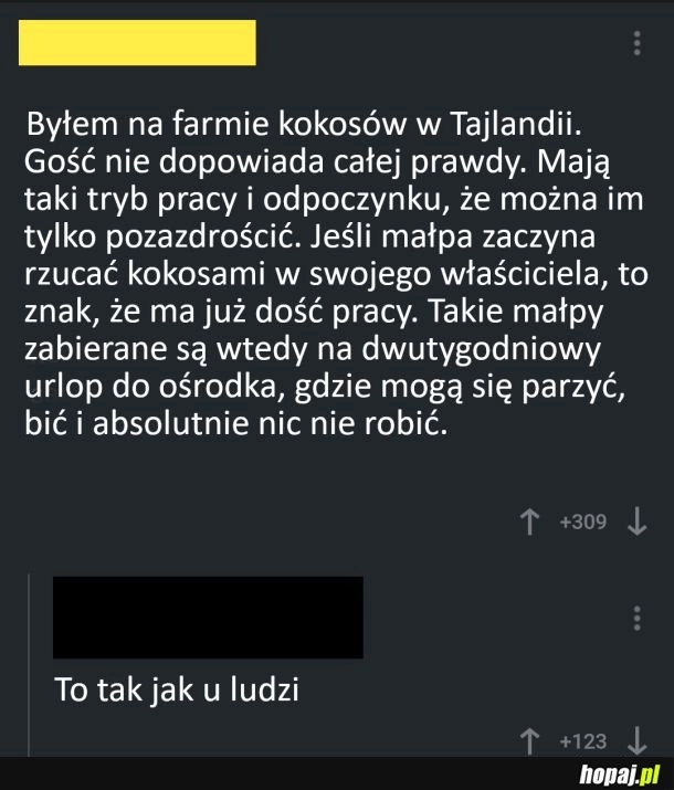 
    Całkiem podobnie