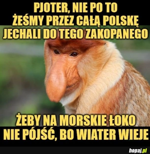 
    Tak