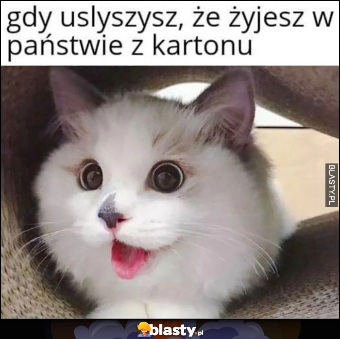 
    Kot gdy usłyszysz, że żyjesz w państwie z kartonu