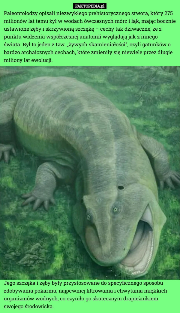 
    Paleontolodzy opisali niezwykłego prehistorycznego stwora, który 275 milionów