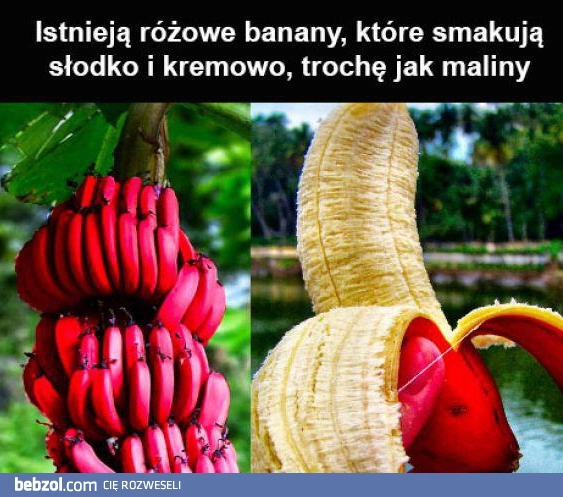 
    Różowe banany