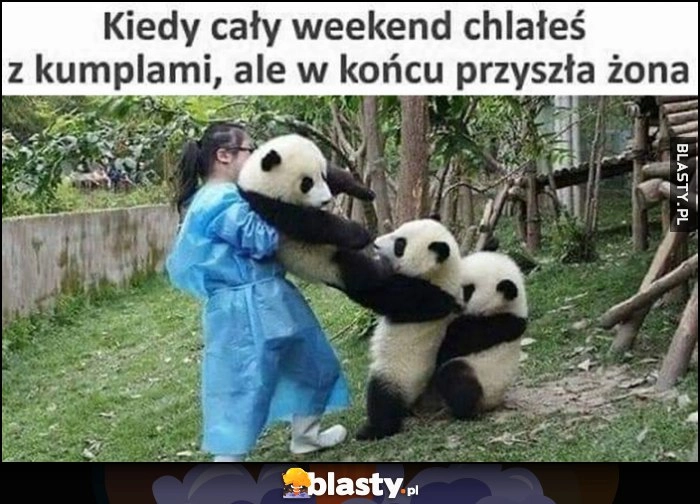 
    Kiedy cały weekend chlałeś z kumplami, ale w końcu przyszła żona panda