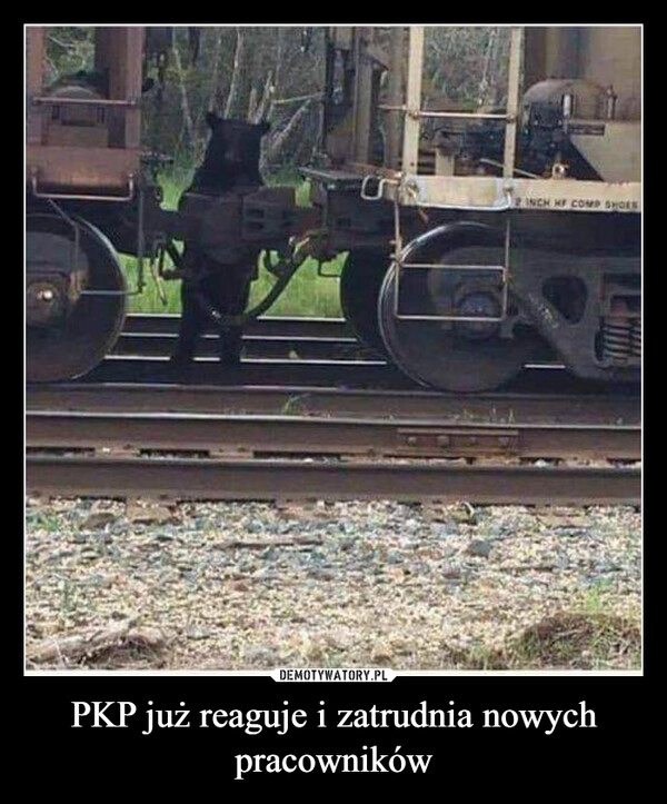 
    PKP już reaguje i zatrudnia nowych pracowników