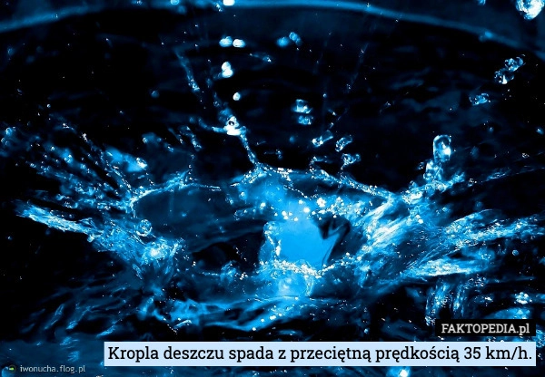 
    Kropla deszczu spada z przeciętną prędkością 35 km/h.