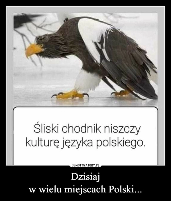 
    
Dzisiaj
w wielu miejscach Polski... 