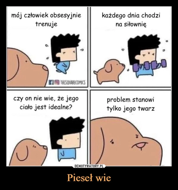 
    Pieseł wie