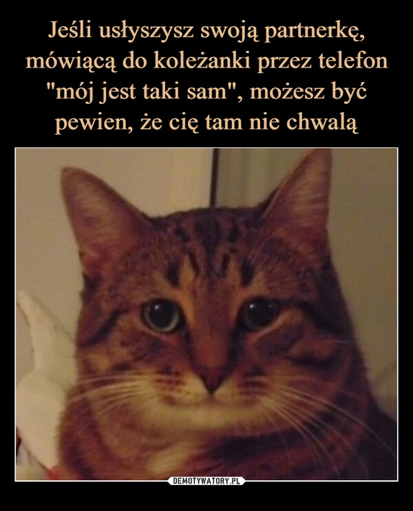 
    Jeśli usłyszysz swoją partnerkę, mówiącą do koleżanki przez telefon "mój jest taki sam", możesz być pewien, że cię tam nie chwalą