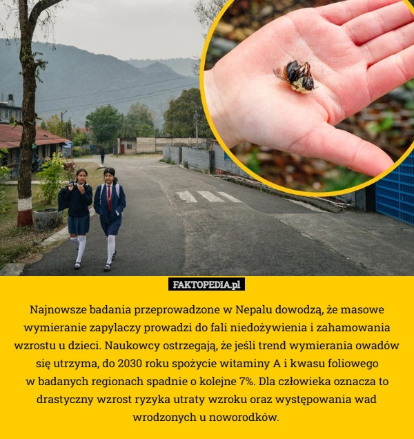 
    Najnowsze badania przeprowadzone w Nepalu dowodzą, że masowe wymieranie