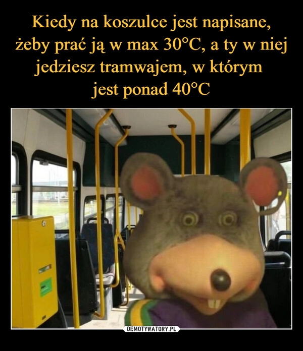 
    Kiedy na koszulce jest napisane, żeby prać ją w max 30°C, a ty w niej jedziesz tramwajem, w którym 
jest ponad 40°C