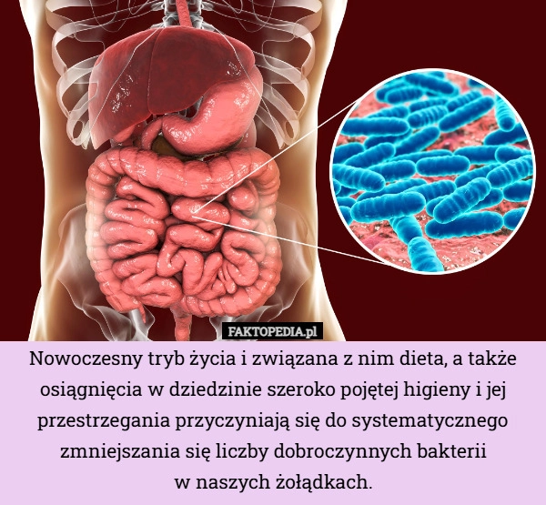 
    Nowoczesny tryb życia i związana z nim dieta, a także osiągnięcia w dziedzinie