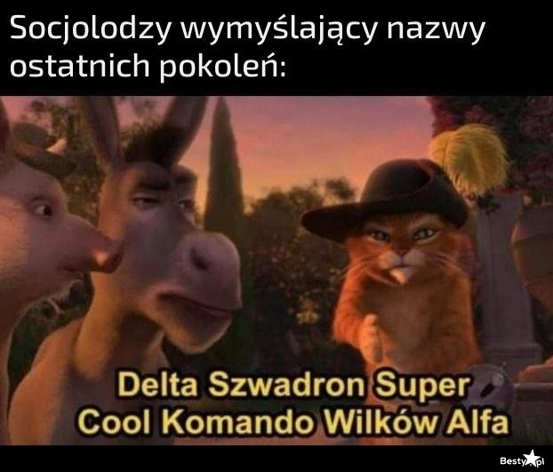 
    Nazwy pokoleń 