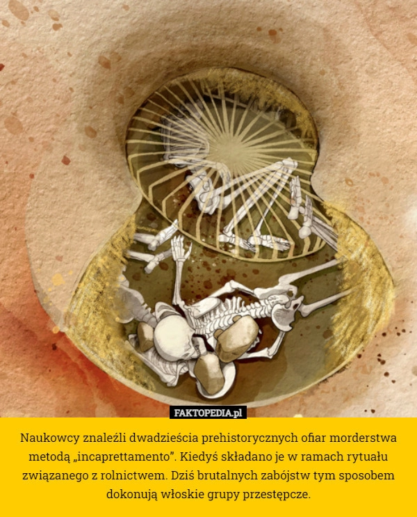 
    Naukowcy znaleźli dwadzieścia prehistorycznych ofiar morderstwa metodą „incaprettamento”.