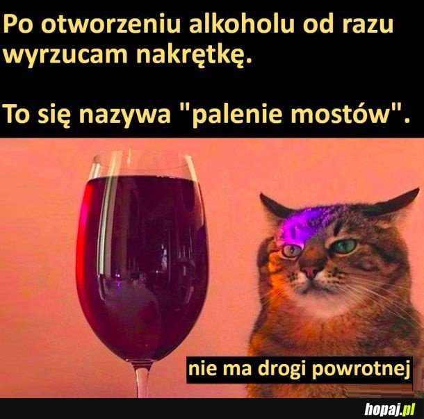 
    Palenie mostów