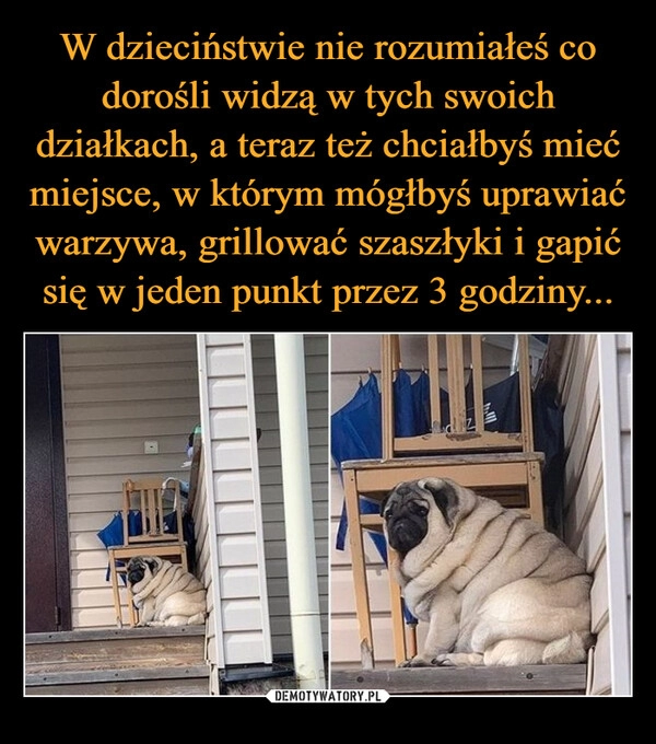 
    W dzieciństwie nie rozumiałeś co dorośli widzą w tych swoich działkach, a teraz też chciałbyś mieć miejsce, w którym mógłbyś uprawiać warzywa, grillować szaszłyki i gapić się w jeden punkt przez 3 godziny...