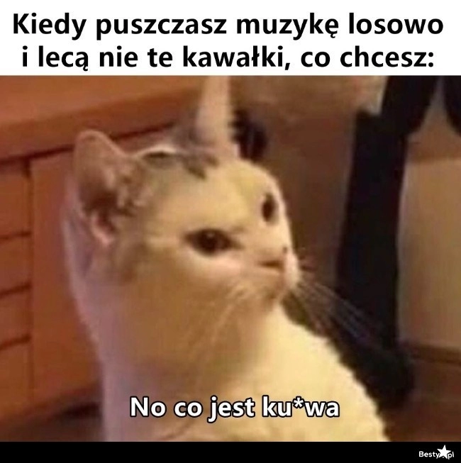 
    No jak to tak 