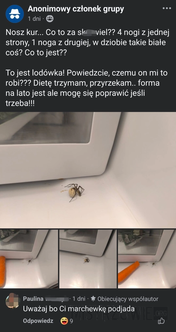
    Podjada marchewkę