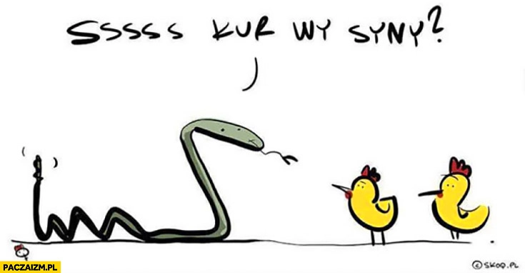 
    Ssss kur wy syny? Wąż pyta kurczaki