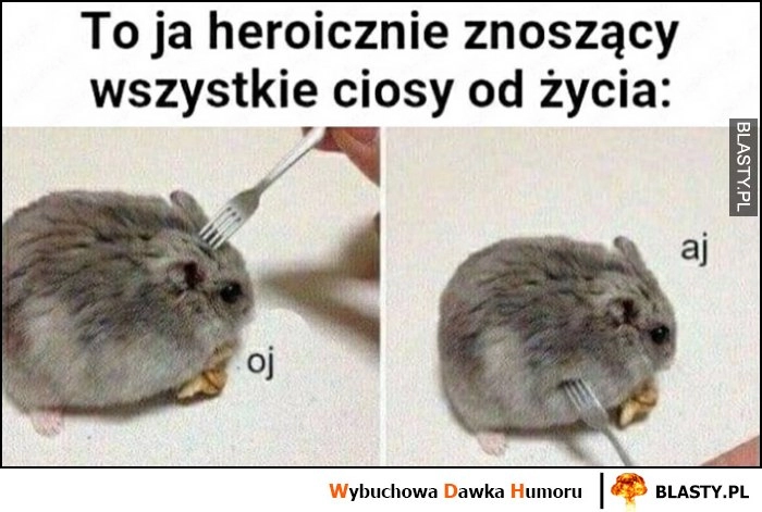 
    To ja heroicznie znoszący wszystkie ciosy od życia oj aj