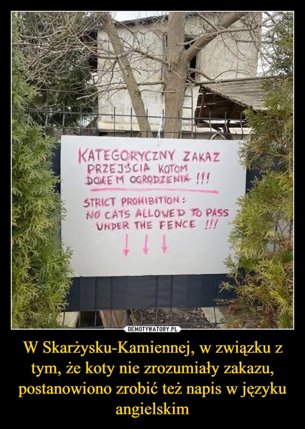 
    W Skarżysku-Kamiennej, w związku z tym, że koty nie zrozumiały zakazu, postanowiono zrobić też napis w języku angielskim