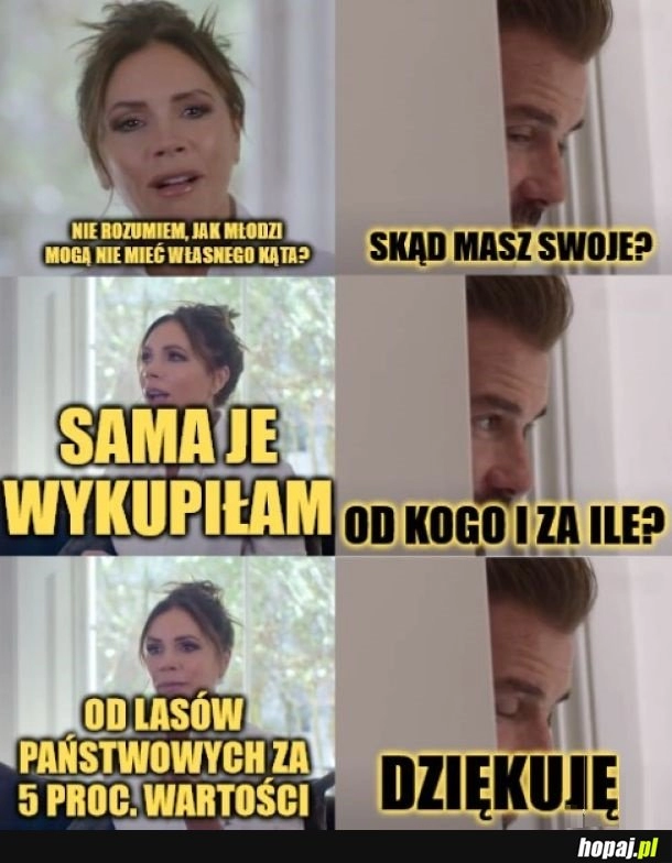 
    Lasy Państwowe.