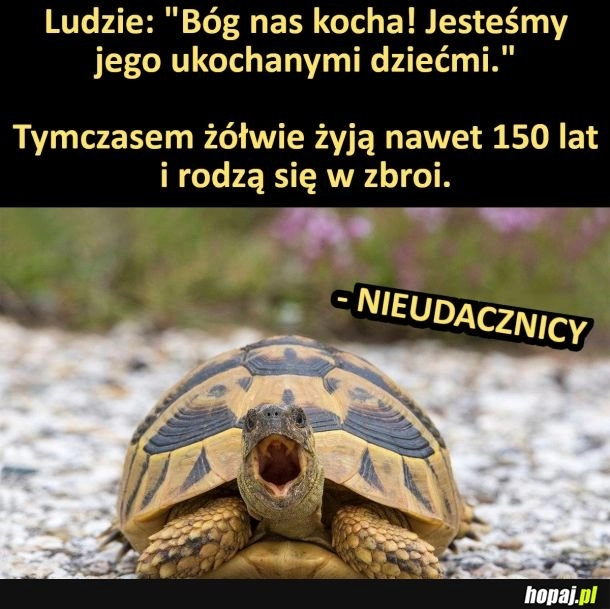 
    Nieudacznicy