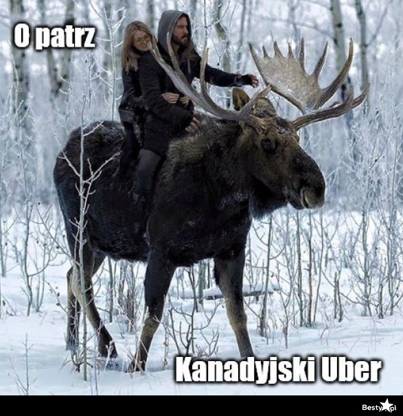 
    Kanadyjski Uber 