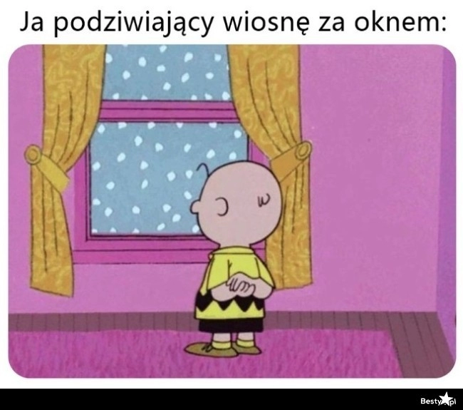 
    Wiosna za oknem 