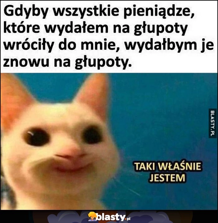 
    Kot kotek gdyby wszystkie pieniądze, które wydałem na głupoty wróciły do mnie, wydałbym je znowu na głupoty, taki właśnie jestem