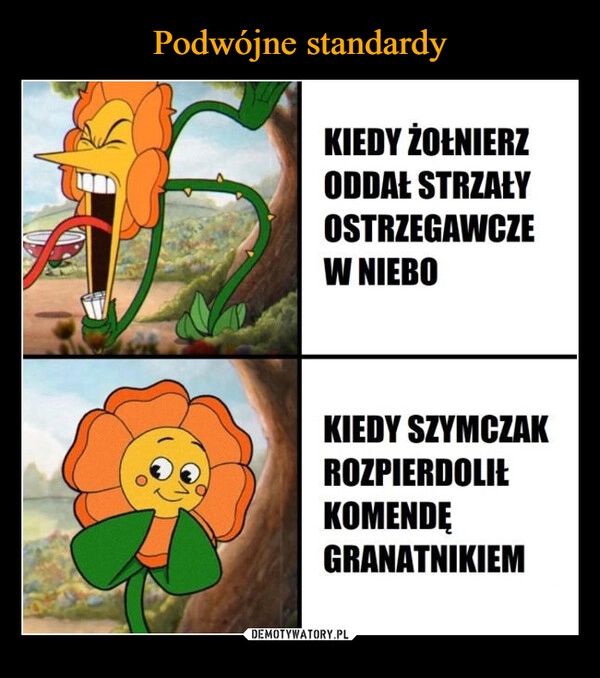 
    Podwójne standardy