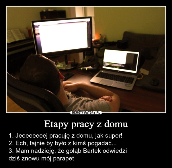 
    Etapy pracy z domu