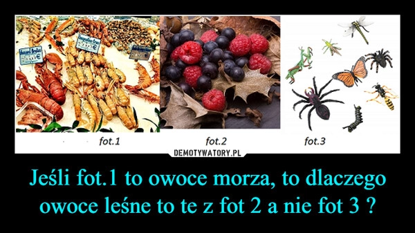 
    Jeśli fot.1 to owoce morza, to dlaczego owoce leśne to te z fot 2 a nie fot 3 ?