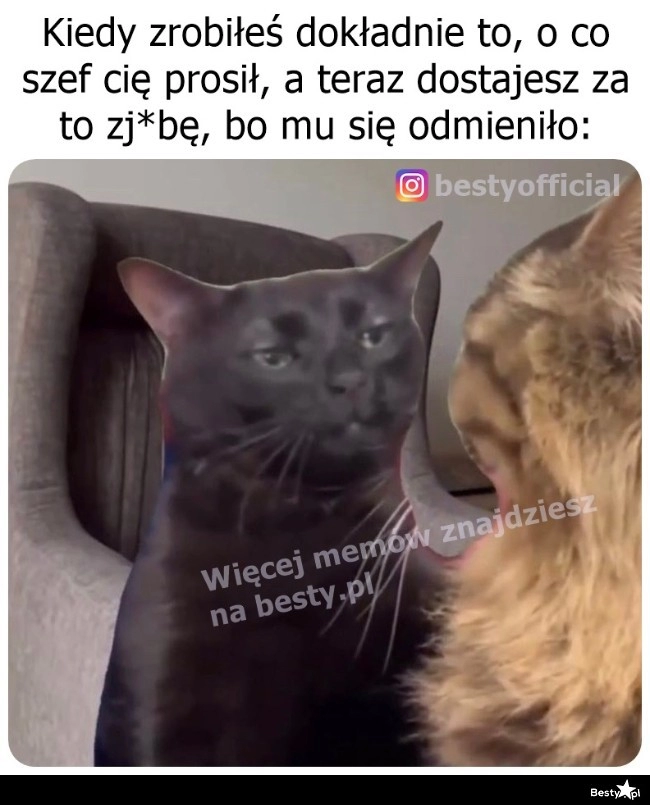 
    To chyba jakieś żarty 