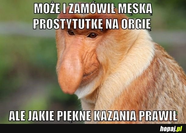 
    Domprofa Gejnicza