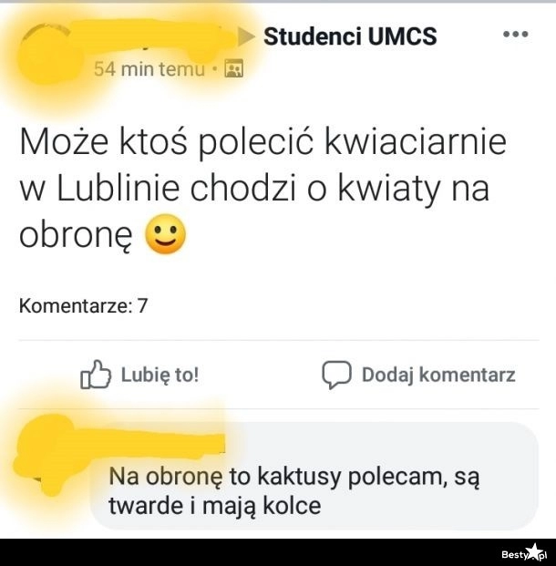 
    Kwiaty na obronę 